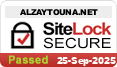 website security