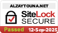 website security