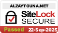 website security